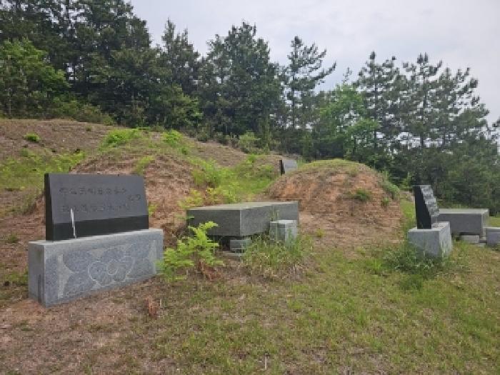 전남 해남군 문내면 임야 경매 물건 사진 5 · 2026타경50137
