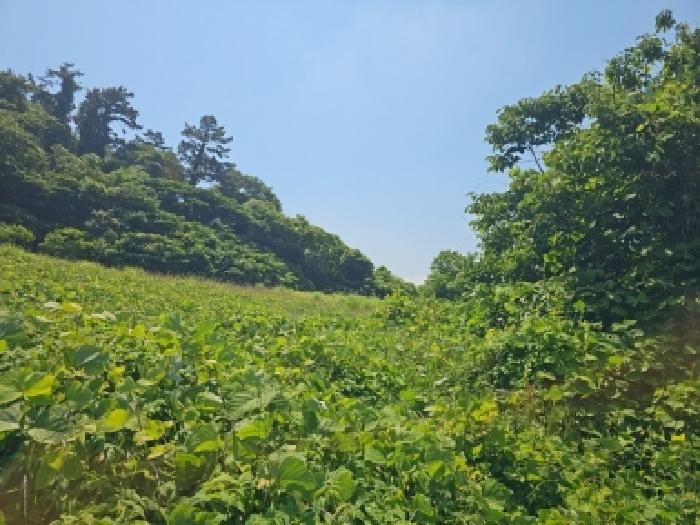 전남 해남군 화원면 전답 경매 물건 사진 3 · 2026타경50198