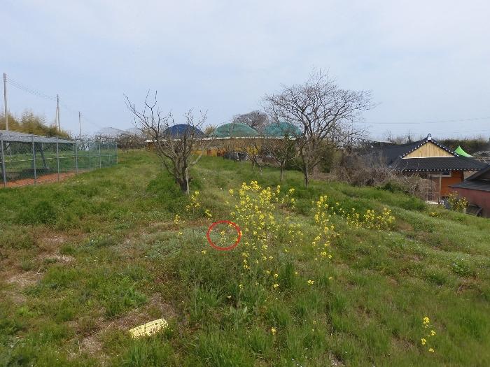 전북 김제시 성덕면 답 경매 물건 사진