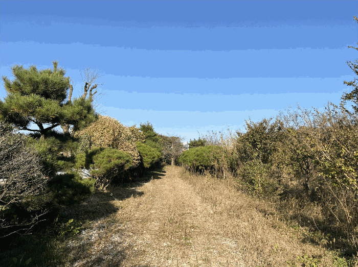 전북특별자치도 전주시 완산구 삼천동3가 7 답 경매 물건 사진