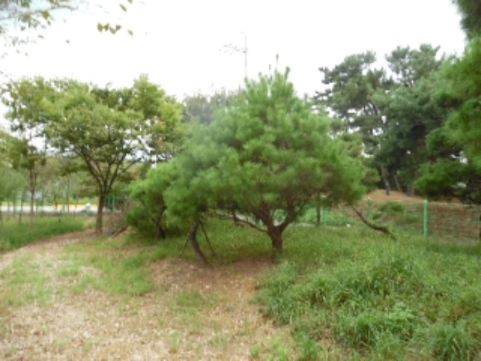 전북 전주시 완산구 답 경매 물건 사진 2 · 2024타경3881