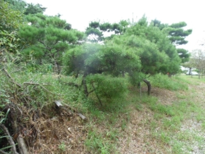 전북 전주시 완산구 답 경매 물건 사진 3 · 2024타경3881
