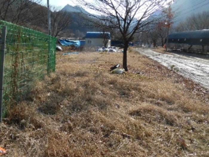 전북 완주군 운주면 답 경매 물건 사진 6 · 2024타경42763
