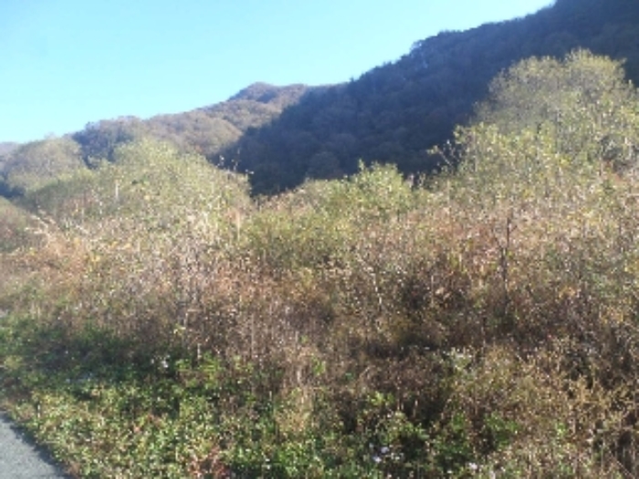 전북 임실군 관촌면 답 경매 물건 사진