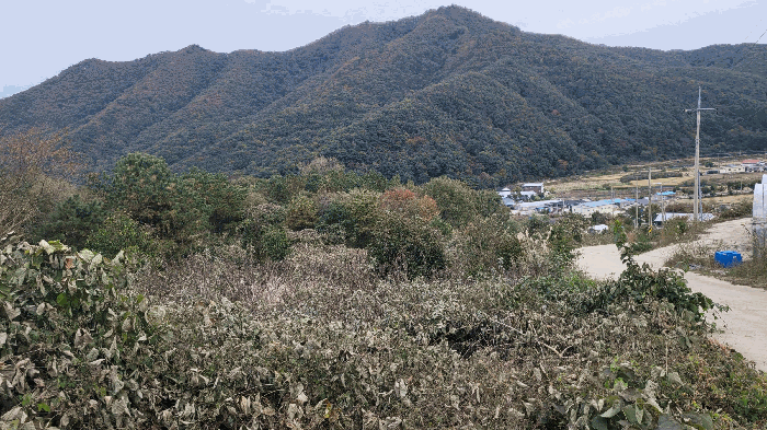 전북특별자치도 진안군 주천면 대불리 산27-1 대지,임야,전답 경매 물건 사진