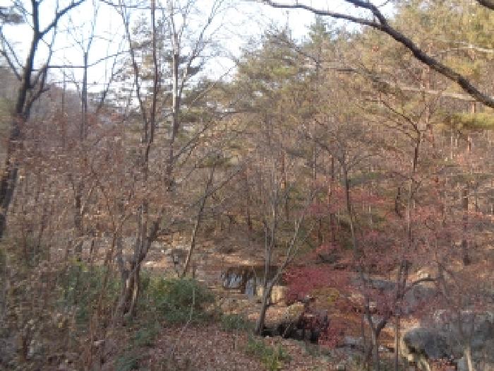 전북 진안군 주천면 임야 경매 물건 사진 3 · 2025타경1034