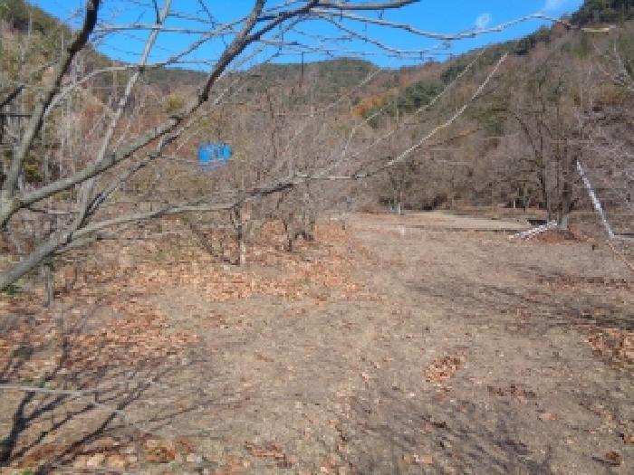 전북 완주군 경천면 전 경매 물건 사진