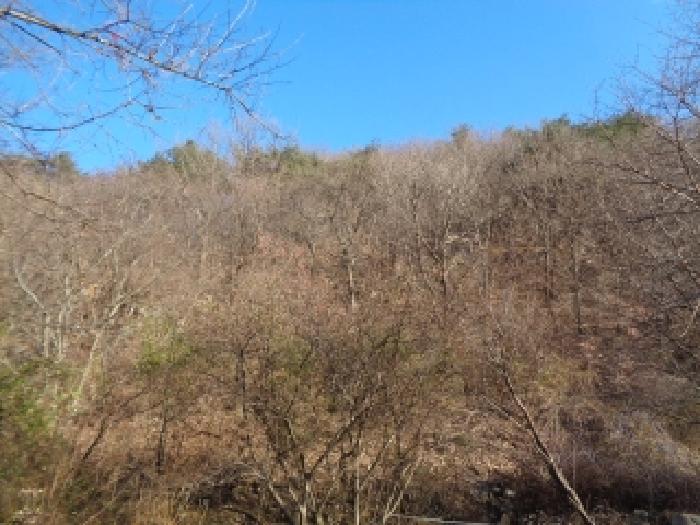 전북 완주군 운주면 임야 경매 물건 사진