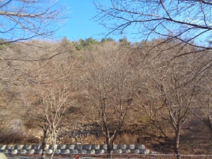 전북 완주군 운주면 임야 경매 물건 사진 2 · 2025타경1066