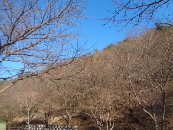 전북 완주군 운주면 임야 경매 물건 사진 3 · 2025타경1066