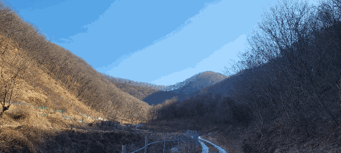 전북 임실군 신덕면 임야 경매 물건 사진 6 · 2025타경1108