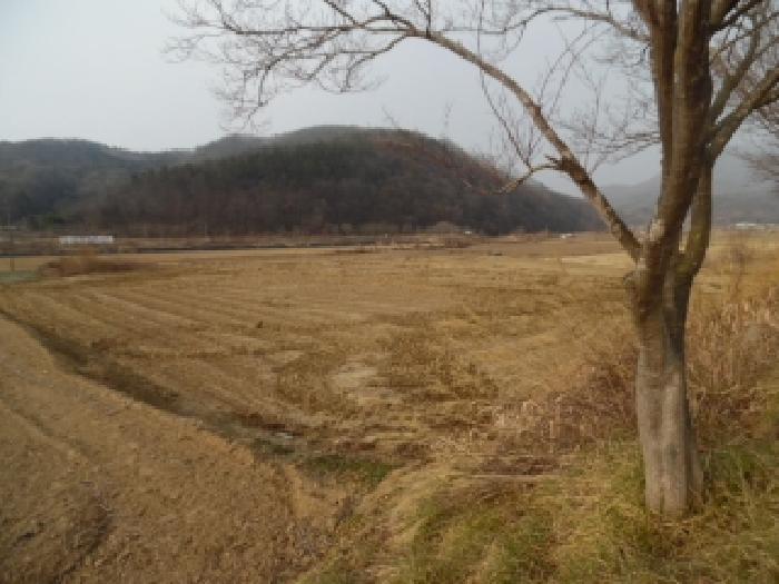 전북 진안군 성수면 전 경매 물건 사진