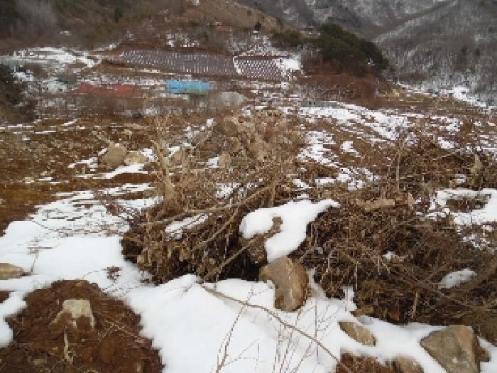 전북 진안군 정천면 전 경매 물건 사진 6 · 2025타경30828