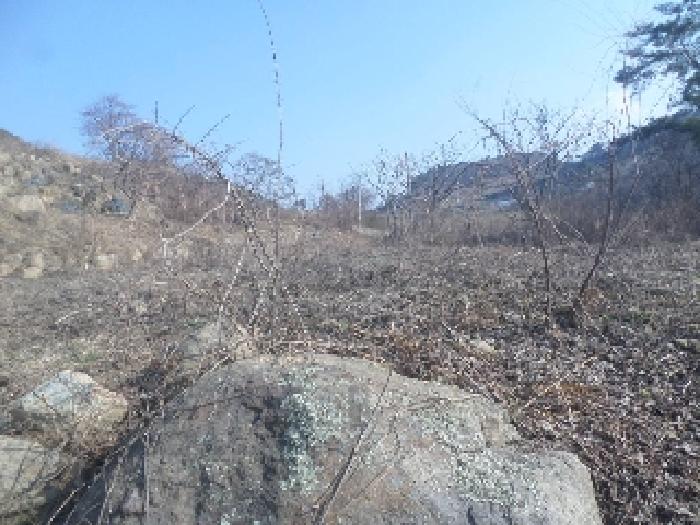 전북 임실군 강진면 전 경매 물건 사진 5 · 2025타경31003