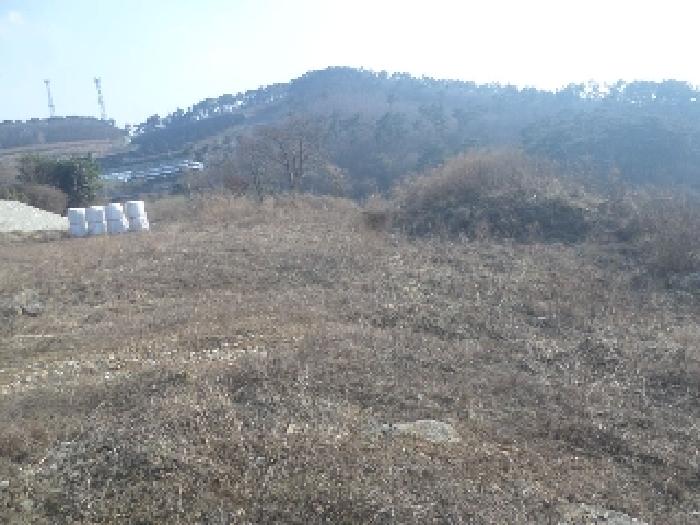 전북 임실군 강진면 전 경매 물건 사진 6 · 2025타경31003