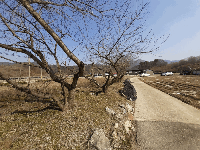 전북특별자치도 진안군 용담면 송풍리 1097-5 대지 경매 물건 사진