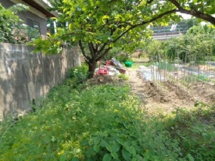 전북 김제시 금산면 단독주택 경매 물건 사진 2 · 2025타경31250