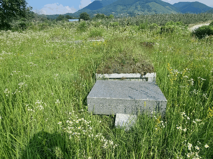 전북특별자치도 무주군 무풍면 증산리 738 전 경매 물건 사진