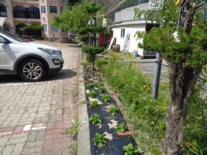 전북 무주군 설천면 근린시설 경매 물건 사진 2 · 2025타경31380