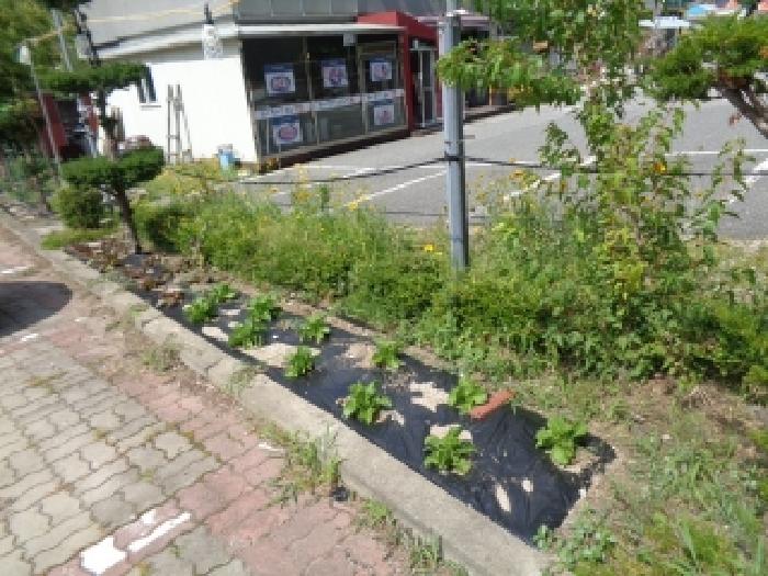 전북 무주군 설천면 근린시설 경매 물건 사진 3 · 2025타경31380