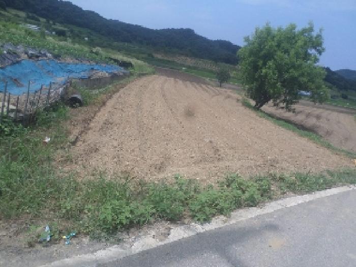전북 임실군 신평면 답 경매 물건 사진