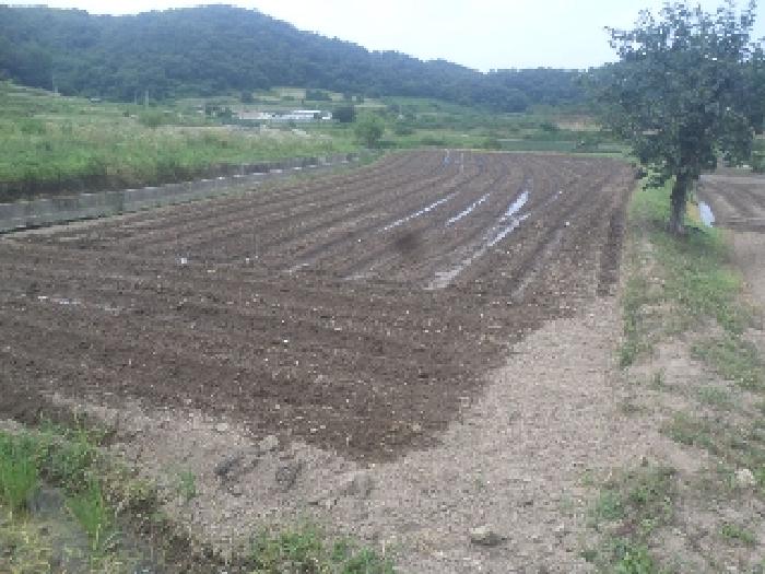 전북 임실군 신평면 답 경매 물건 사진 2 · 2025타경31382