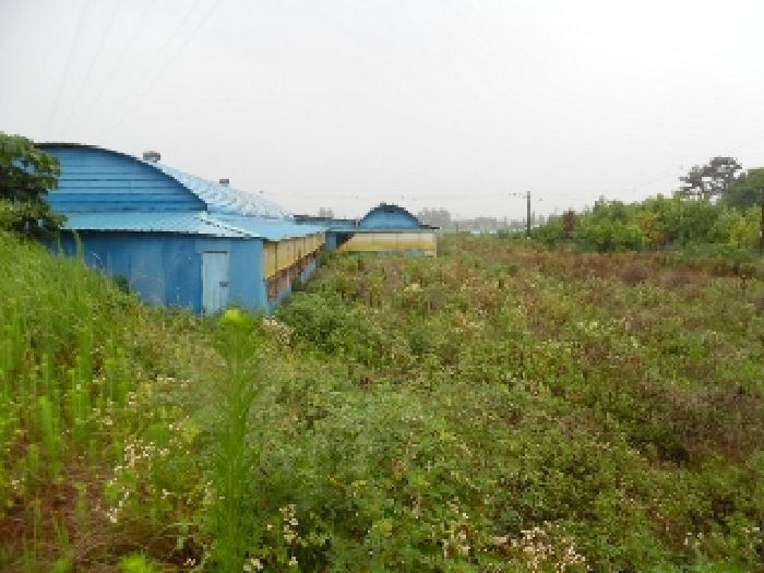 전북 김제시 황산면 동물및식물관련시설 경매 물건 사진