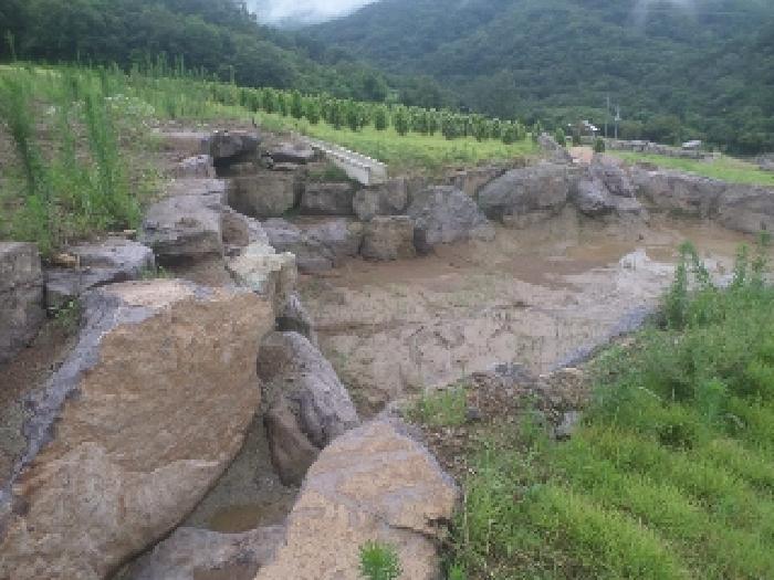 전북 임실군 신덕면 임야 경매 물건 사진 6 · 2025타경31440
