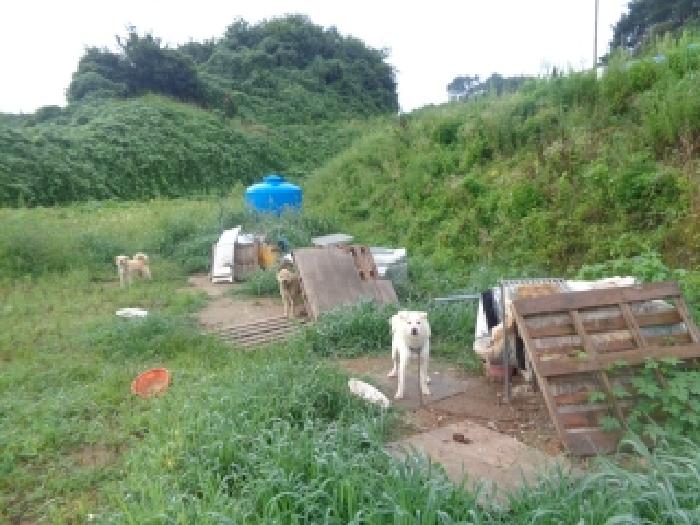전북 무주군 안성면 전 경매 물건 사진 3 · 2025타경31481