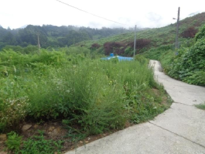 전북 무주군 안성면 전 경매 물건 사진 6 · 2025타경31481
