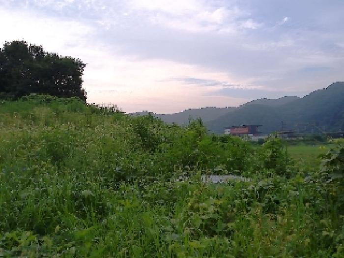 전북 완주군 소양면 답 경매 물건 사진 3 · 2025타경31484
