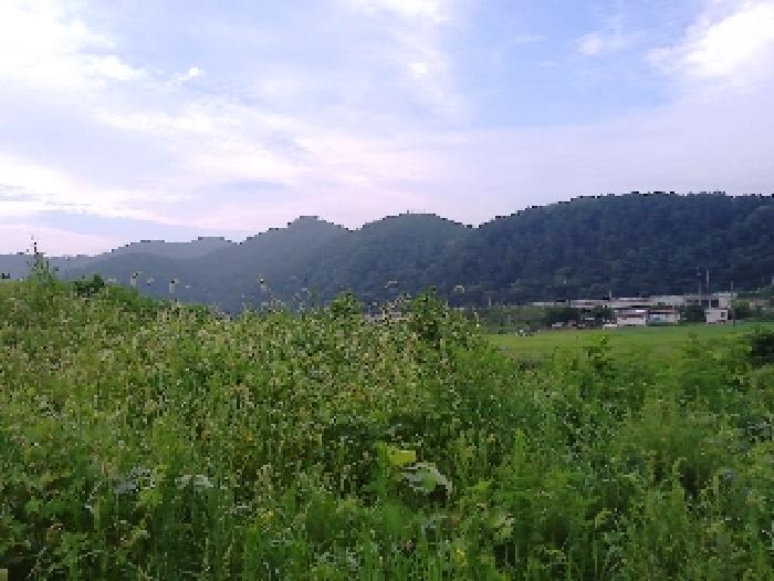 전북 완주군 소양면 답 경매 물건 사진 4 · 2025타경31484