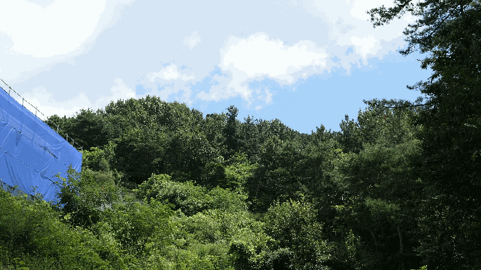 전북특별자치도 전주시 완산구 석구동 산177-4 임야 경매 물건 사진