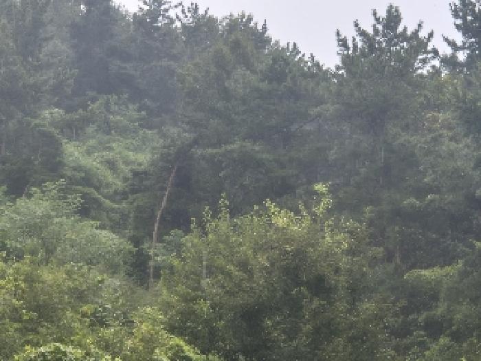 전북 전주시 완산구 석구동 임야 경매 물건 사진 3 · 2025타경31539
