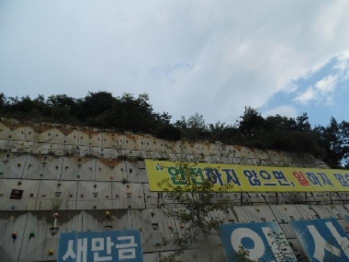 전북 전주시 완산구 석구동 임야 경매 물건 사진 5 · 2025타경31539