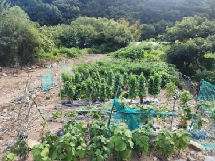전북 무주군 무풍면 답 경매 물건 사진