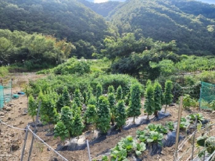 전북 무주군 무풍면 답 경매 물건 사진 3 · 2025타경31561