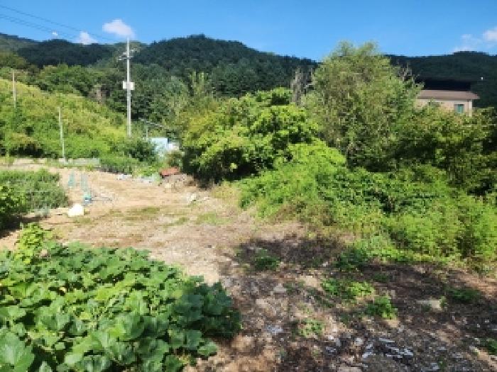 전북 무주군 무풍면 답 경매 물건 사진 4 · 2025타경31561