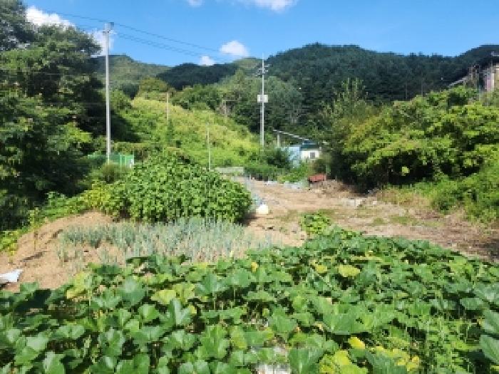 전북 무주군 무풍면 답 경매 물건 사진 5 · 2025타경31561