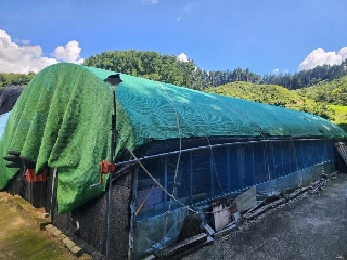전북 무주군 안성면 전 경매 물건 사진