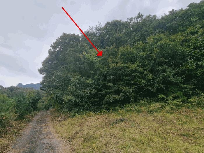 전북 진안군 주천면 전 경매 물건 사진 5 · 2025타경31721