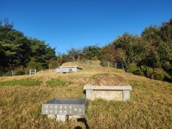 전북 진안군 부귀면 임야 경매 물건 사진