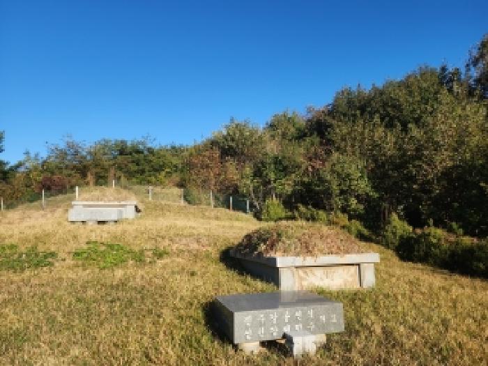 전북 진안군 부귀면 임야 경매 물건 사진 2 · 2025타경31751