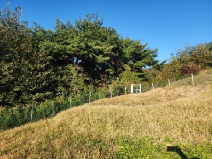 전북 진안군 부귀면 임야 경매 물건 사진 5 · 2025타경31751