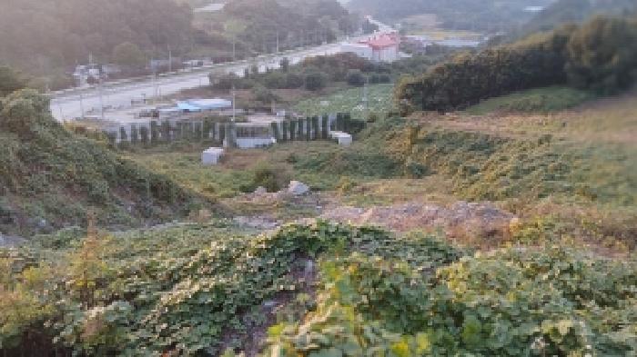 전북 임실군 관촌면 대지 경매 물건 사진 5 · 2025타경31762