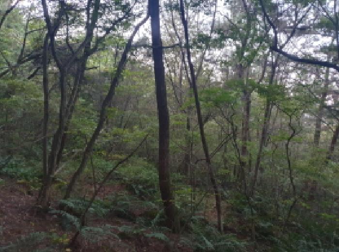 전북 김제시 진봉면 전답 경매 물건 사진