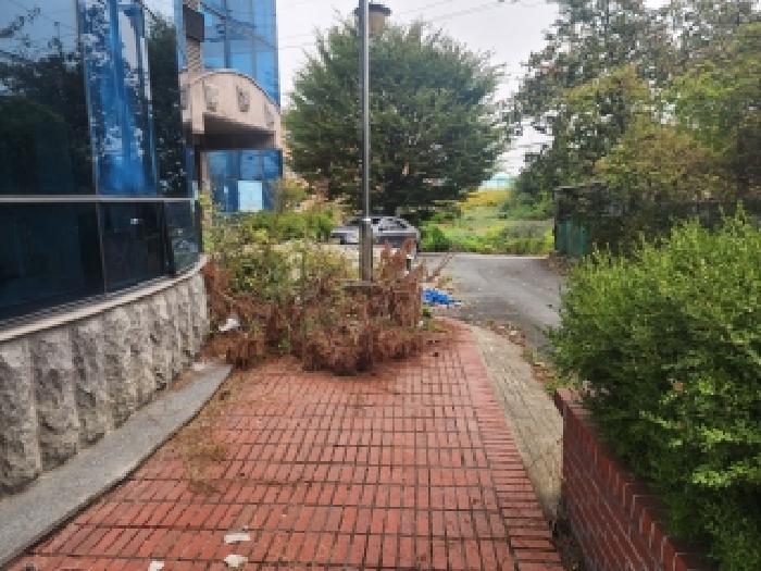 전북 전주시 완산구 도로 경매 물건 사진 5 · 2025타경31784