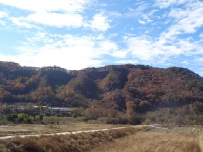 전북 무주군 부남면 임야 경매 물건 사진