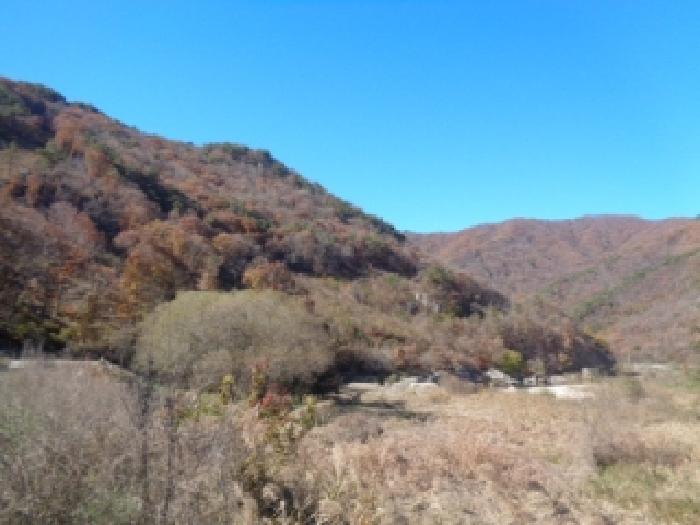 전북 진안군 동향면 임야 경매 물건 사진 3 · 2025타경31851