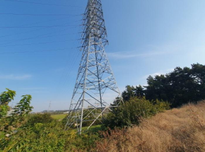 전북 김제시 백산면 전답 경매 물건 사진